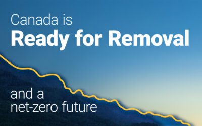 How Canadian carbon removal can help create a net-zero future