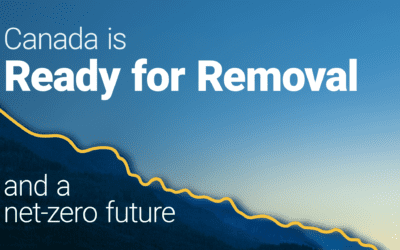 How Canadian carbon removal can help create a net-zero future