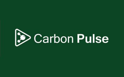 Carbon Pulse Daily