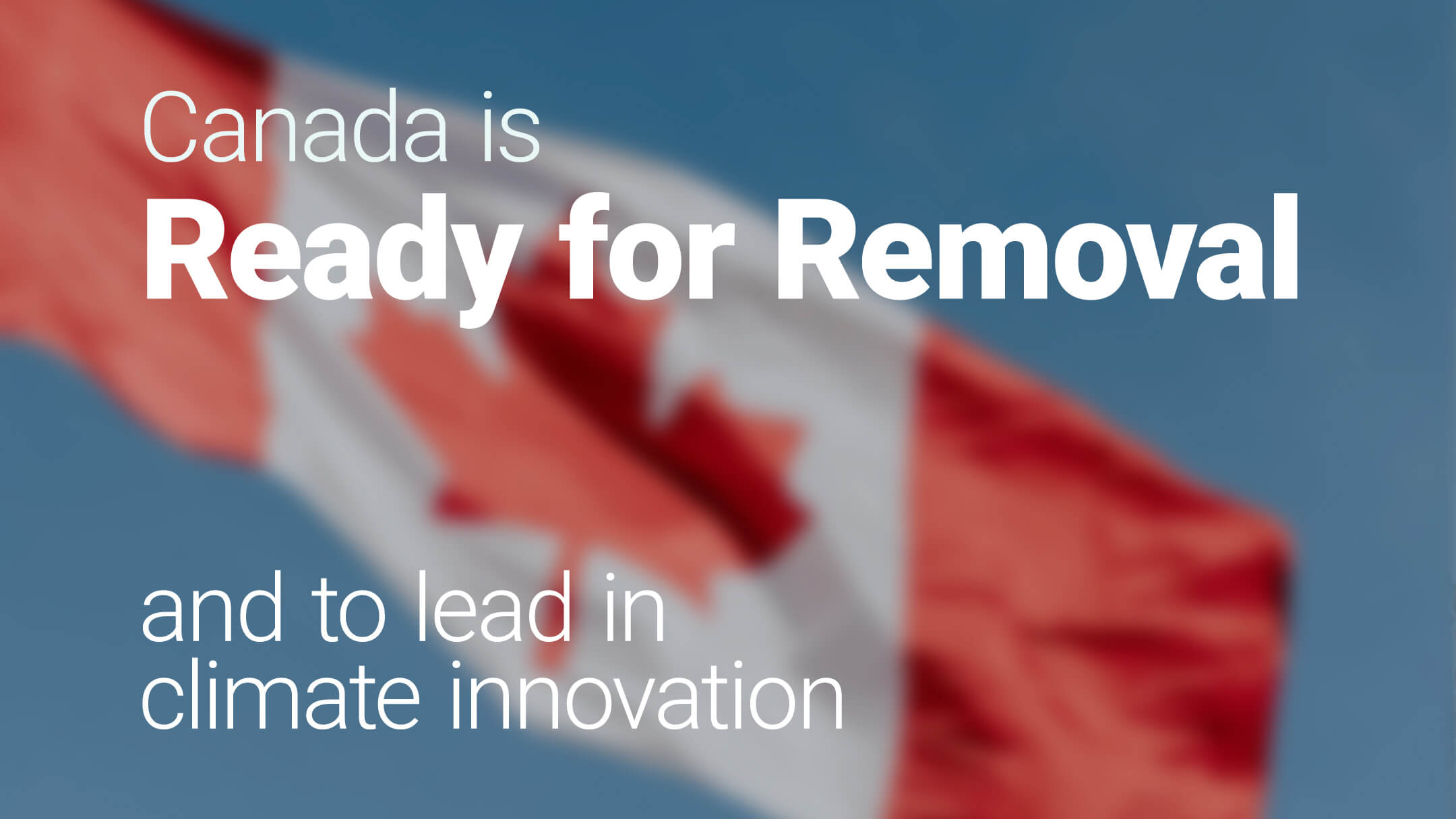 Carbon removal innovation lead