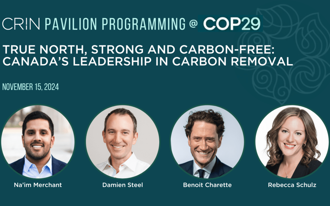 COP29 Carbon Removal Canada panel