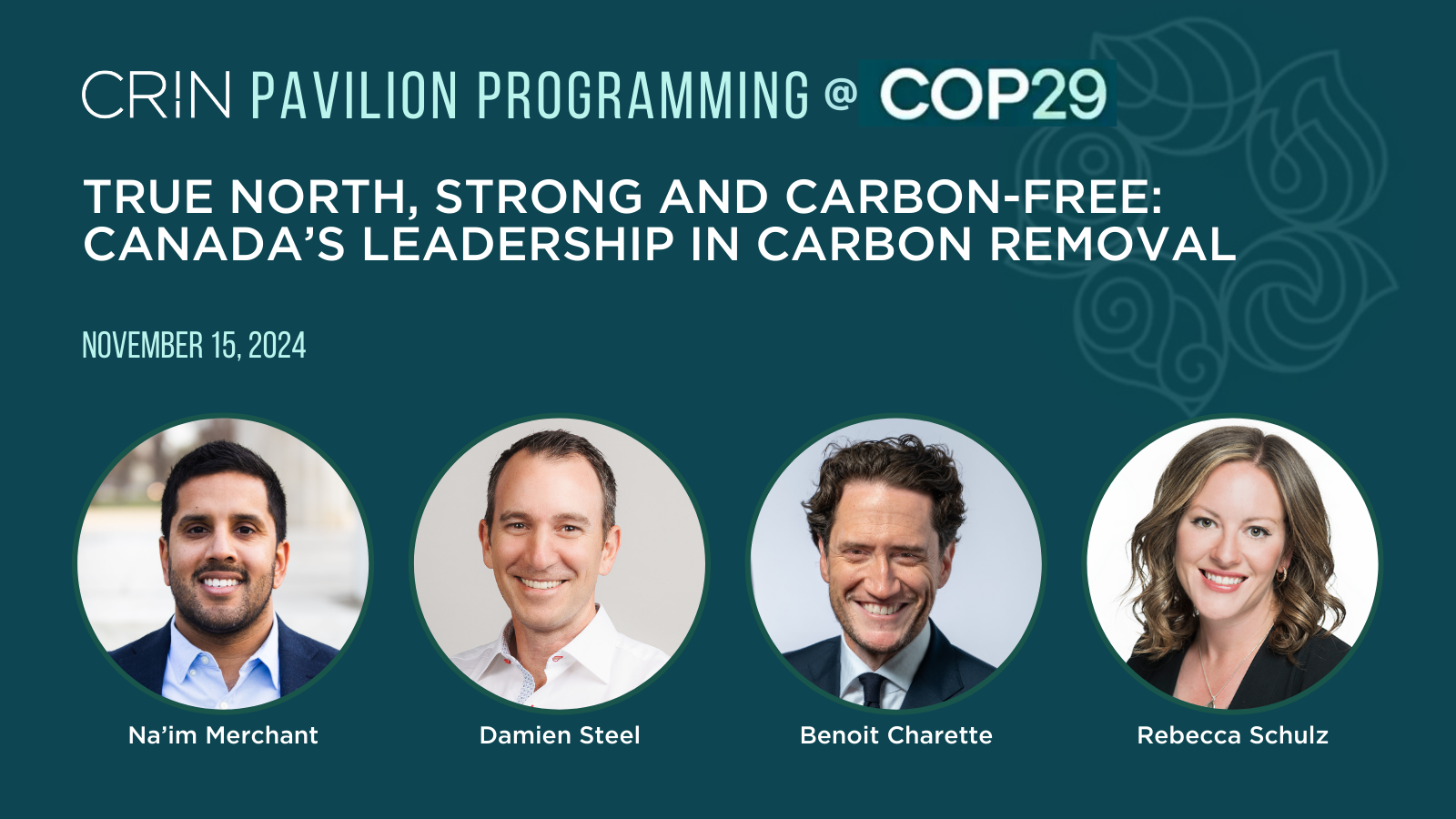 COP29 Carbon Removal Canada panel