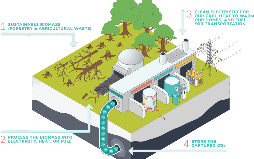 Bioenergy with Carbon Capture and Storage