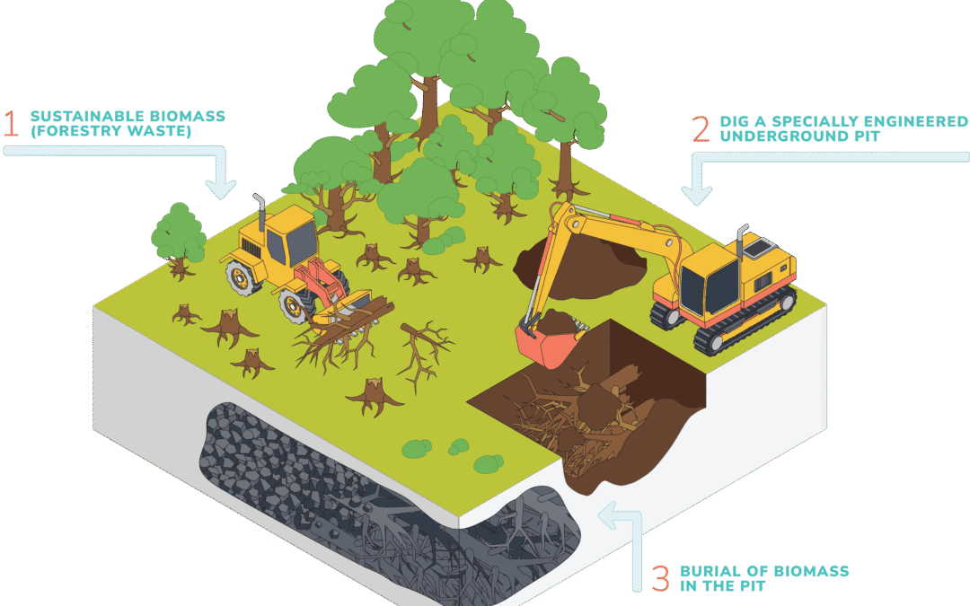 Biomass Burial