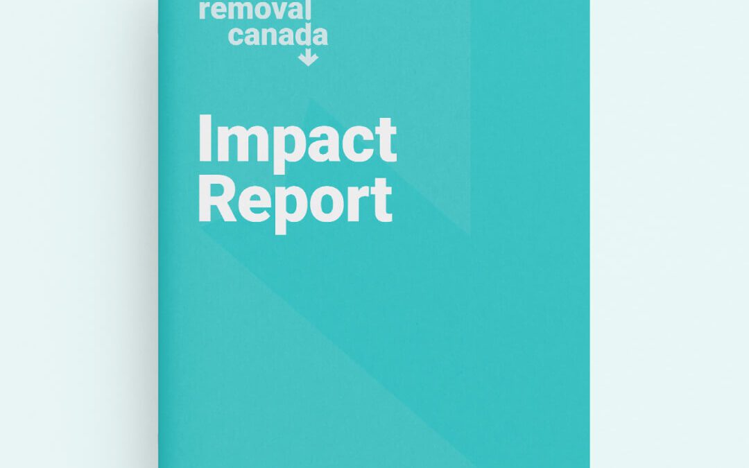 2024 Impact Report