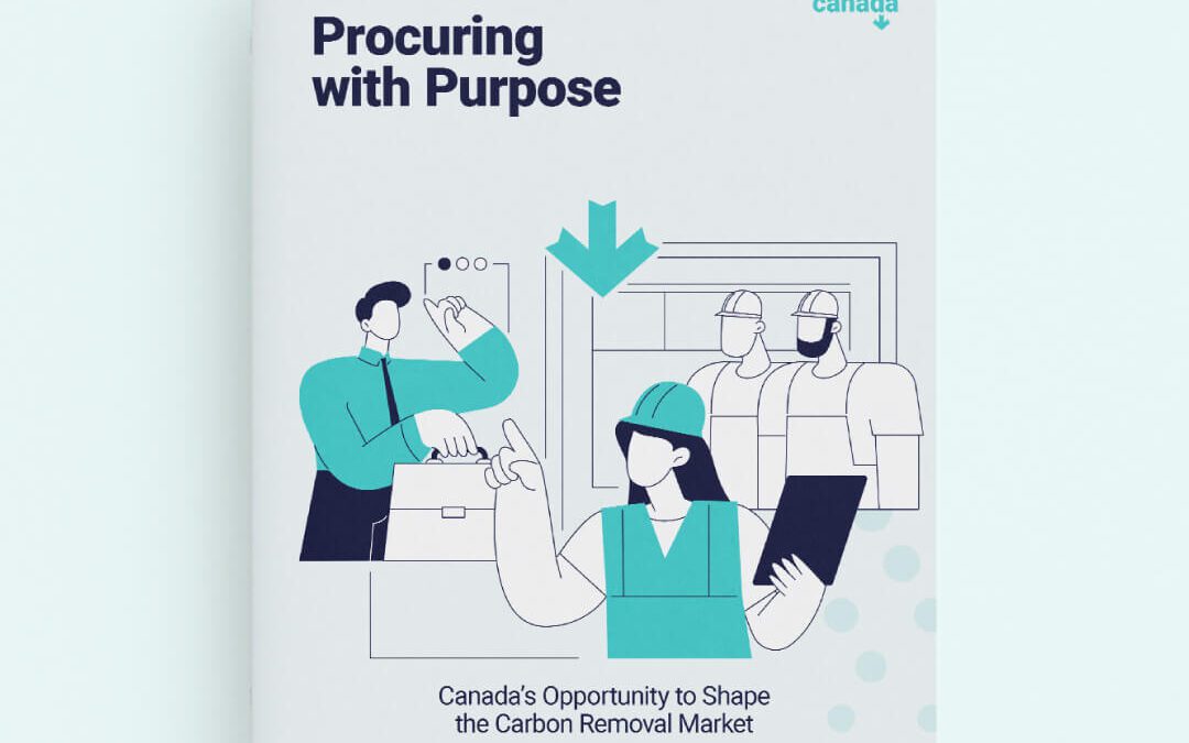 Discover the critical role of procurement in responsible carbon removal