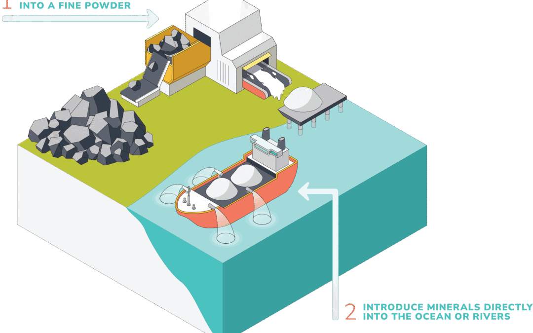 Ocean Alkalinity Enhancement