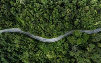 Unlocking Private Financing for Carbon Removal